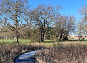 Le Moulin du marais, architectes R&C, paysagiste Géniplant © CAUE79